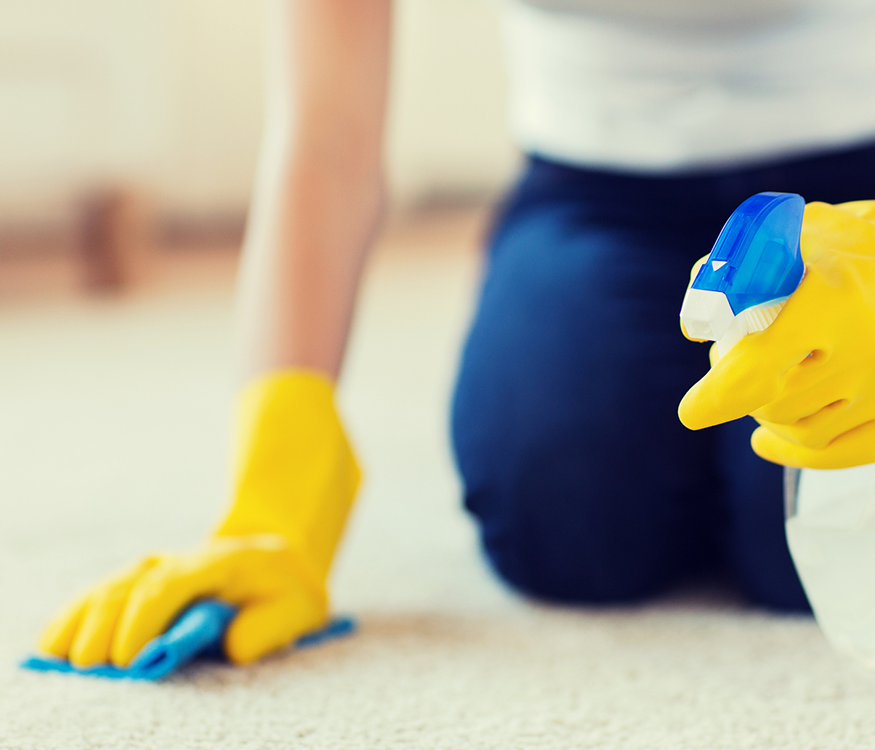 B & P Carpet Cleaning & Upholstery
